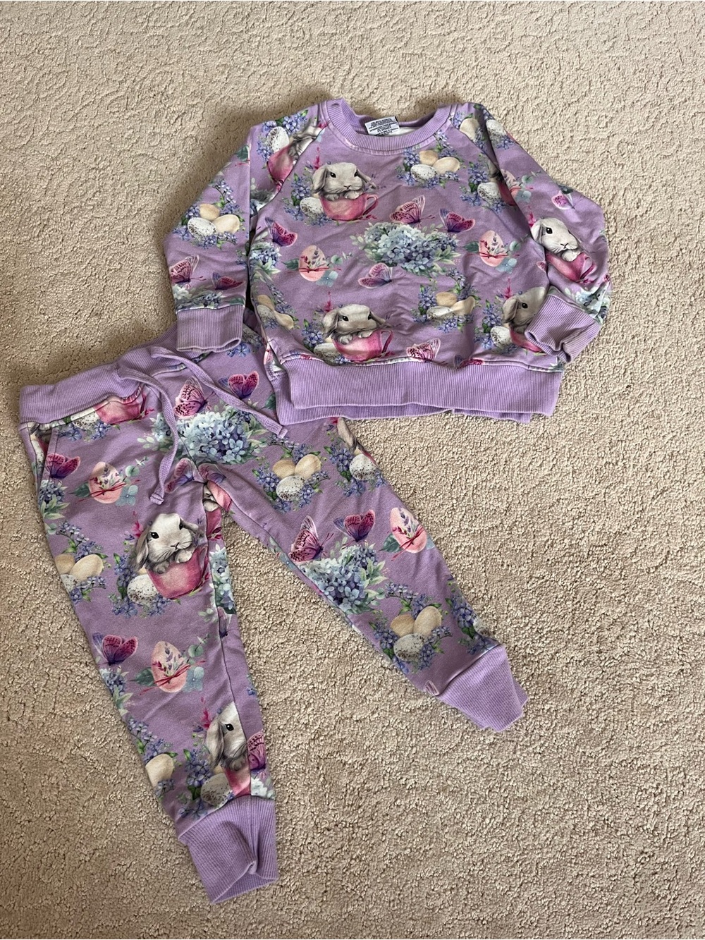 Bums & Roses 2-Piece Jogger Set Purple w/ Bunnies and Flowers Size 2T